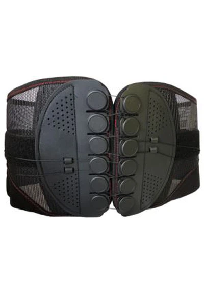 পুলি মেরুদণ্ড সমর্থন করে